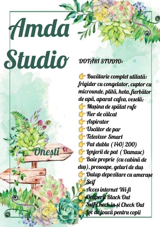 אונשטי Amda Studio מראה חיצוני תמונה